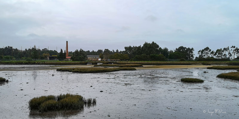 - Sur le chemin de Compostelle par le littoral