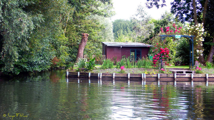 Les Hortillonnages - Amiens - Picardie - France (Juin 2008)