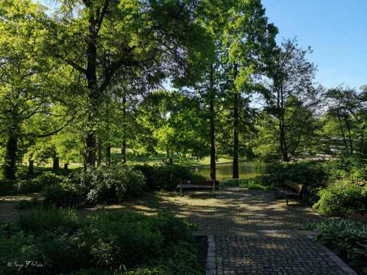 Parc Dammtor Planter des fleurs - Hambourg - Allemagne - Hamburg - Deutchland