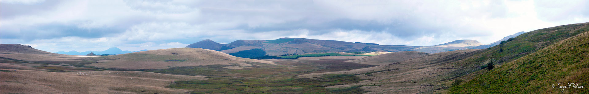 Estives du plateau du Guéry vu du Puy Gros - Massif du Sancy - Auvergne - France