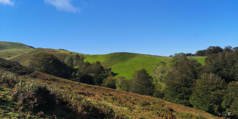 En montant au col de Roncevaux pour accéder à la partie Espagnole - Sur le chemin de Compostelle