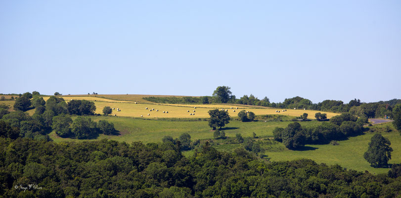 Plateau de Charlannes - côté Liournat - Massif du Sancy - Auvergne - France