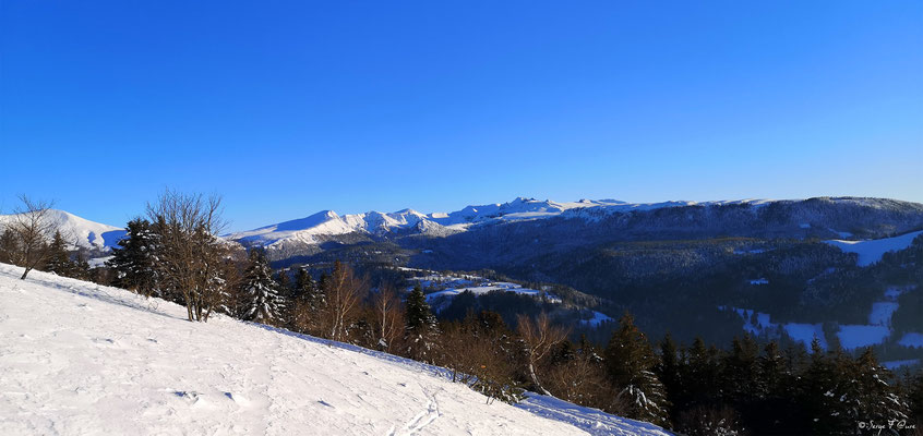 Vue sur le Puy de Sancy du chemin  de la sapinière à Murat le Quaire - Massif du Sancy - Auvergne - France
