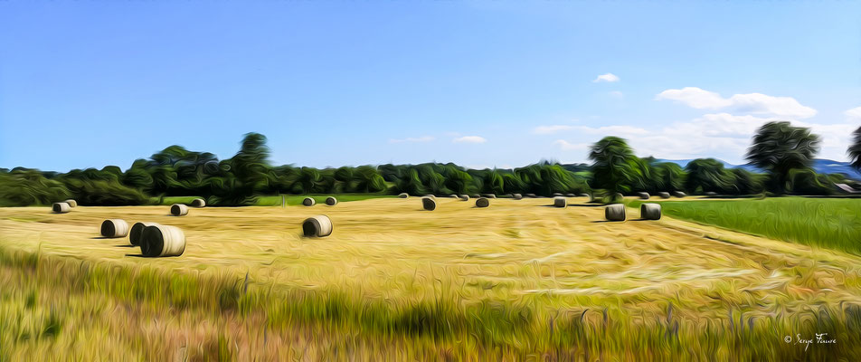 Les foins aux 4 routes de Nébouzat - Auvergne - France - Photo façon tableau peinture Serge Faure