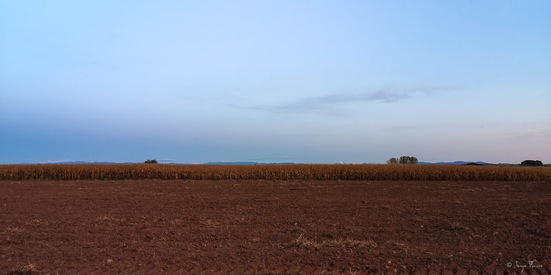 En allant de Leon à Astorga - Sur le chemin de Compostelle