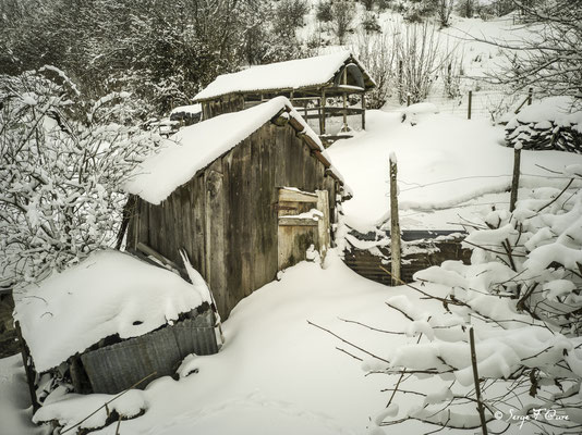 Les cabanes en bois sur le chemin des caves à Murat le Quaire - Massif du Sancy - Auvergne - France