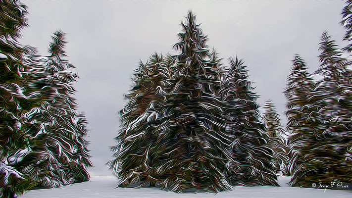 Photo façon tableau peinture Serge Faure