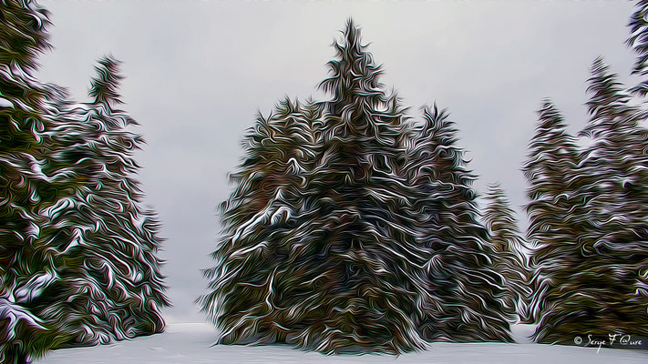 Photo façon tableau peinture Serge Faure