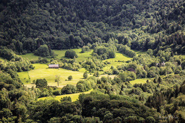 Entre rayons de soleil et nuages - Domaine Fohet - Massif du Sancy - Auvergne - France