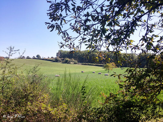 En allant en direction de Vers - Sur le chemin de Compostelle