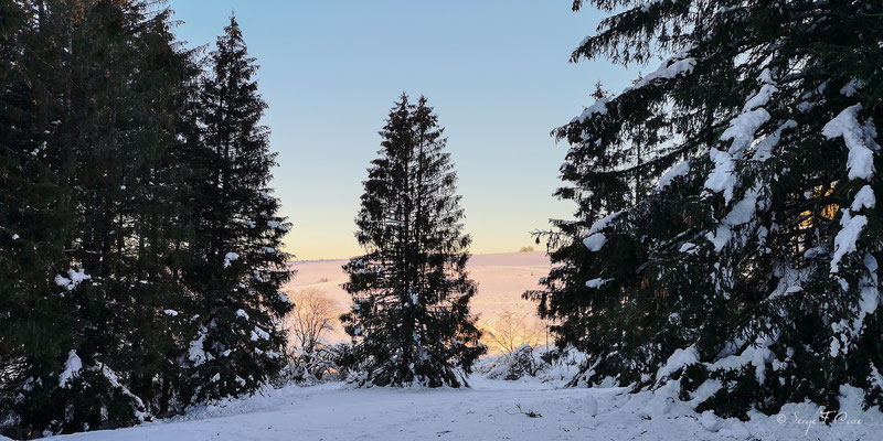 Coucher de soleil sur paysage de neige à Murat le Quaire - Massif du Sancy - Auvergne - France