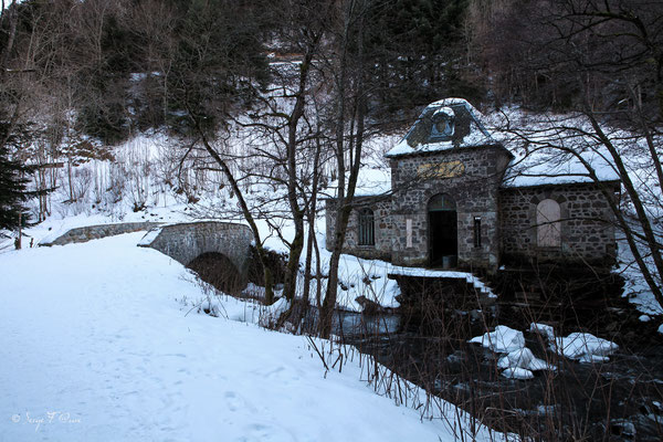 Source Félix au bord de la Dordogne - le Mont Dore - Massif du Sancy - Auvergne - France 