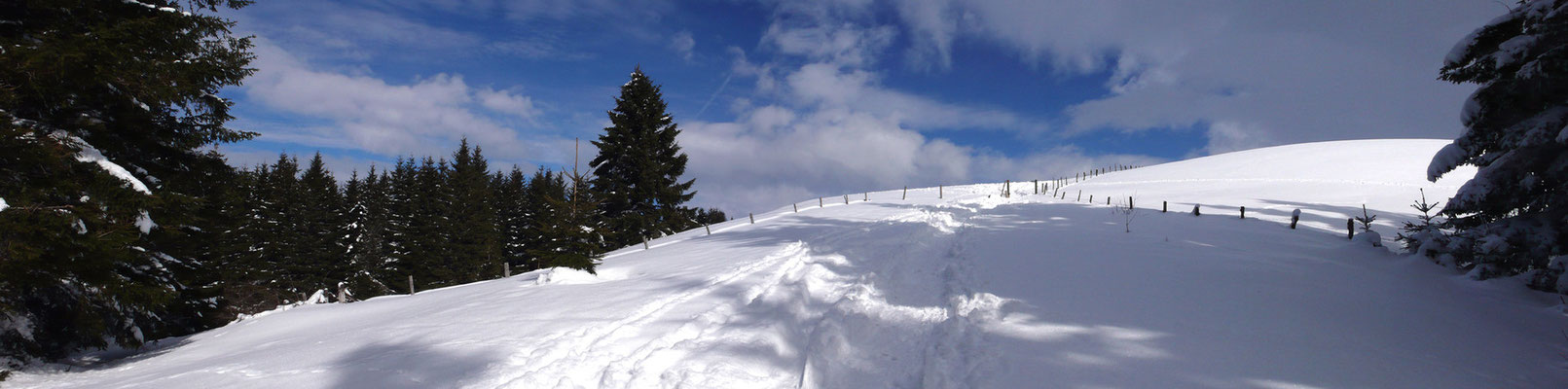 En montant à la Banne d'Ordanche au dessus du bourg de Murat le Quaire - Massif du Sancy - Auvergne - France