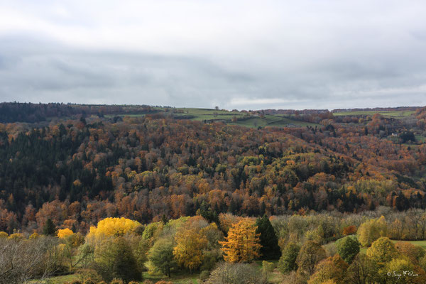 Magie des couleurs d'automne du plateau de Charlannes jusqu'à St Sauves d'Auvergnes - Massif du Sancy - Auvergne - France