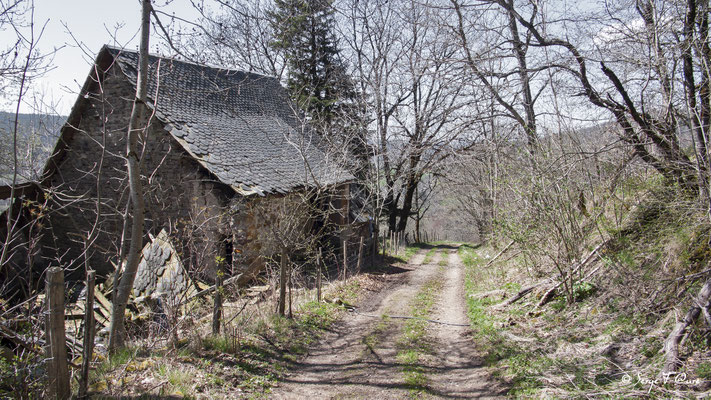 L'Usclade - Petit hameau de Murat le Quaire - Massif du Sancy - Auvergne - France