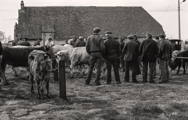 Foirail de la Tour d'Auvergne en 1979 - Puy de Dôme - Auvergne - France