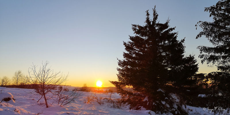Coucher de soleil sur paysage de neige à Murat le Quaire - Massif du Sancy - Auvergne - France