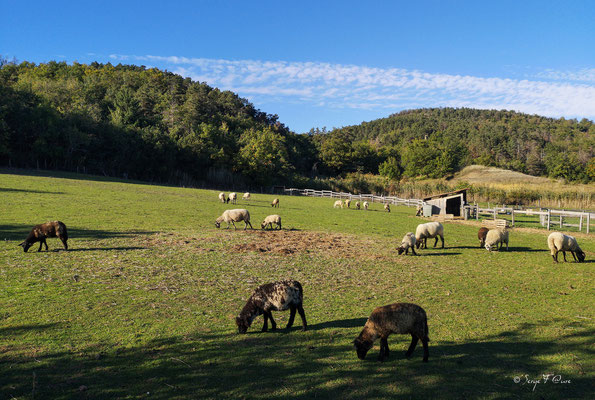 Parcours de la Vallée des Saints - Bard - Puy de Dôme - Auvergne - France