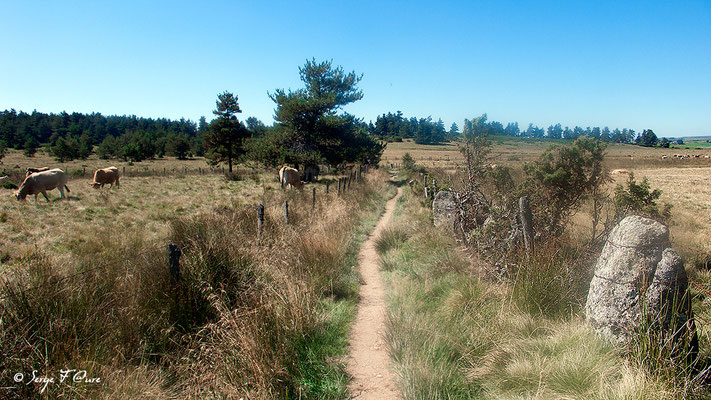 En allant vers Roc des Loups - France - Sur le chemin de St Jacques de Compostelle (santiago de compostela) - Le Chemin du Puy ou Via Podiensis (variante par Rocamadour)