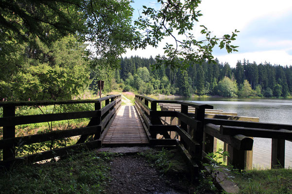 Le Harz - Allemagne - (le véritable pays des sorcières