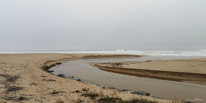  - Sur le chemin de Compostelle par le littoral