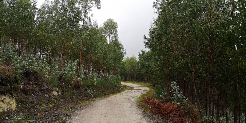  - Sur le chemin de Compostelle par le littoral