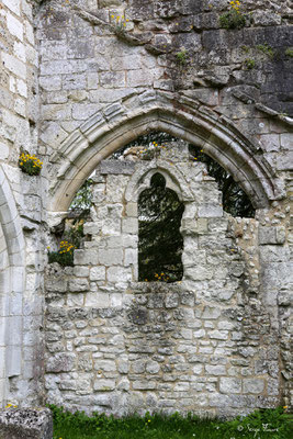 Vestiges de l'abbaye de Jumièges - Normandie - France