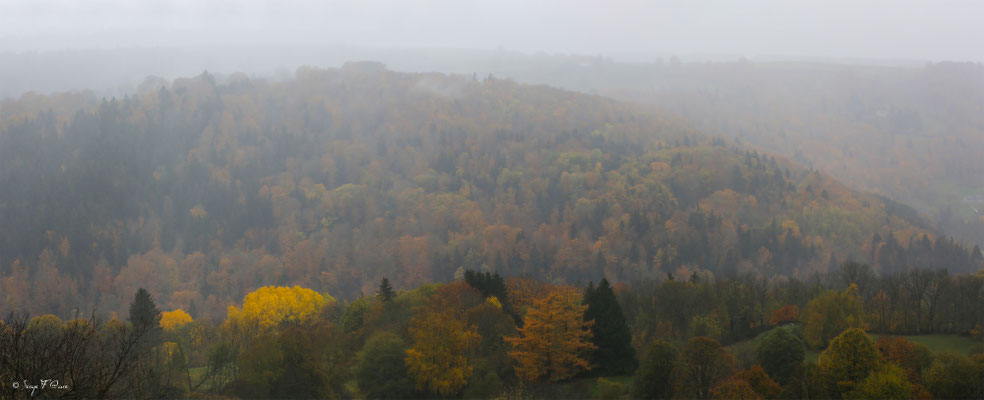 Magie des couleurs d'automne dans la brume du plateau de Charlannes jusqu'à St Sauves d'Auvergnes - Massif du Sancy - Auvergne - France