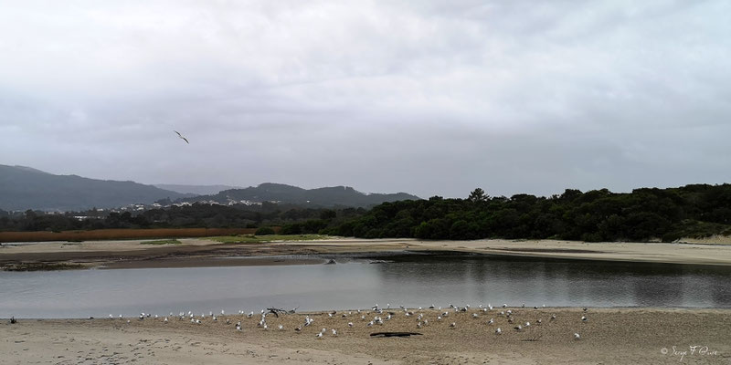  - Sur le chemin de Compostelle par le littoral