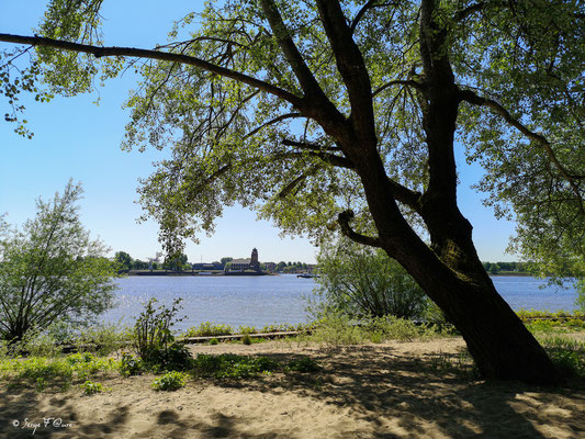 Sur le bord de l'Elbe - Hambourg - Allemagne - Hamburg - Deutchland