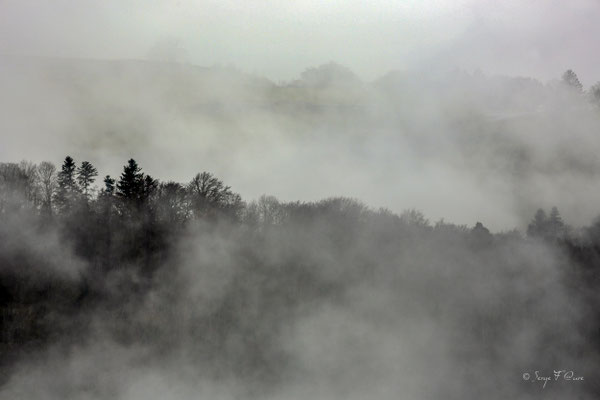 Brumes d'automne - Massif du Sancy - Auvergne - France
