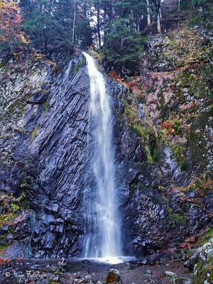 La cascade du Queureuilh - Le Mont Dore - Auvergne - France