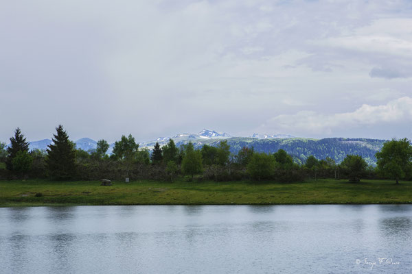 Lac de Murat le Quaire - Massif du Sancy - Auvergne - France