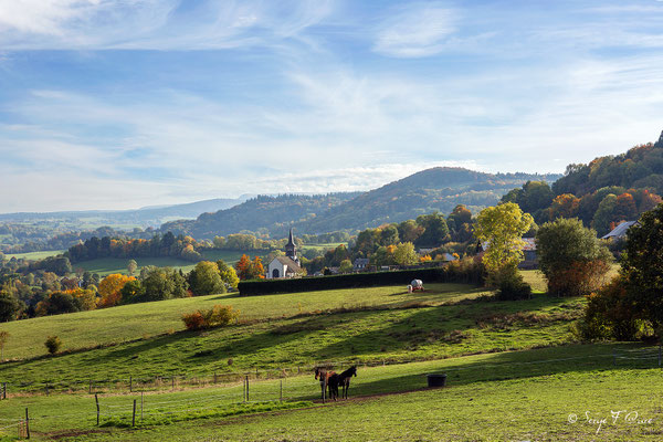 Au gré des champs dans le massif du Sancy - Auvergne - France - Vue panoramique