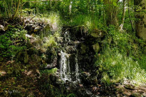 Sentier permettant d'aller à la rivière "La Couze Pavin" - Besse et Saint-Anastaise - Massif du Sancy - Auvergne - France