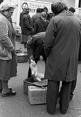 Foire de Giat (les volailles) - Auvergne - France (1978)