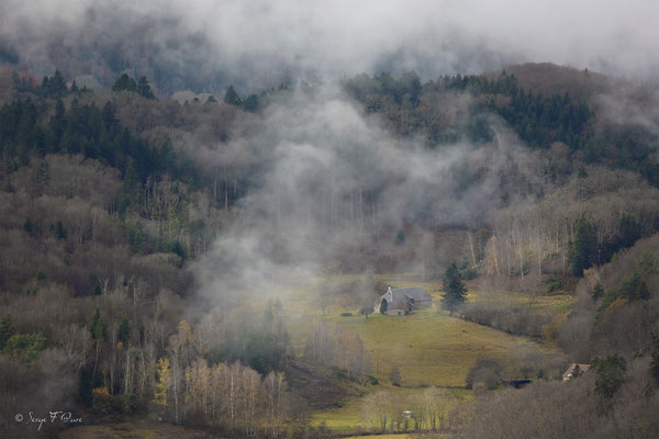 Brumes d'automne - Massif du Sancy - Auvergne - France