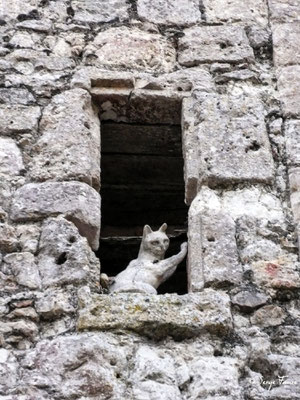 Le village de La Romieu est volontiers appelé le « village des chats » car un grand nombre de félins est présent au cœur village, sur les fenêtres, les portes, les yeux de bœuf et sur certains pas de portes. Sculptés en grande partie par Maurice Serreau