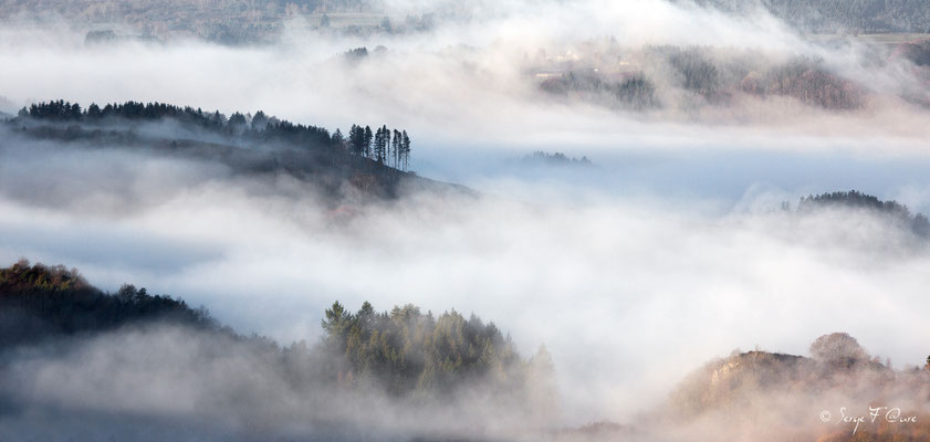 Au dessus des nuages sur St Sauves d'Auvergne dans le massif du Sancy - Auvergne - France