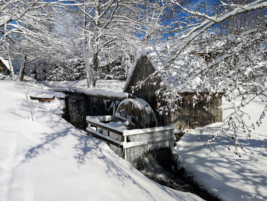 Le moulin à eau - Murat le Quaire - Massif du Sancy - Auvergne - France 