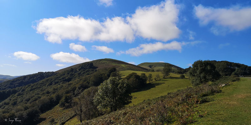 En montant au col de Roncevaux pour accéder à la partie Espagnole - Sur le chemin de Compostelle