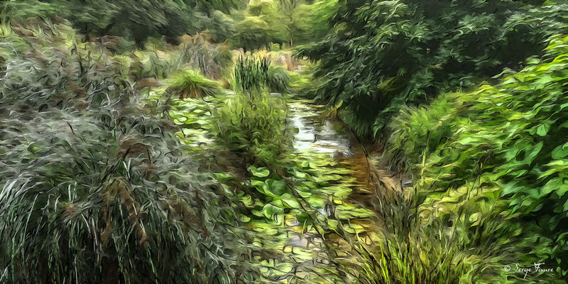 Photo façon tableau peinture Serge Faure "aquatiles autem paradisus" Le pays des Nymphes