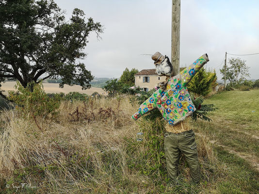 En allant de la Romieu à Condom - Gers - France - Sur le chemin de Compostelle