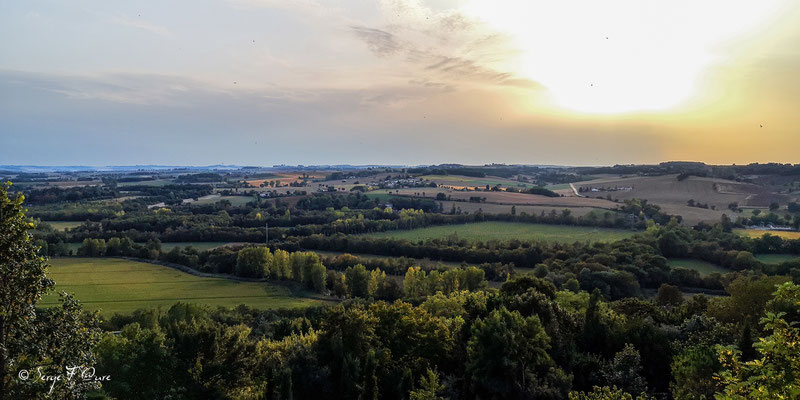 En allant de Castet-Arrouy  à Lectoure - France - Sur le chemin de Compostelle