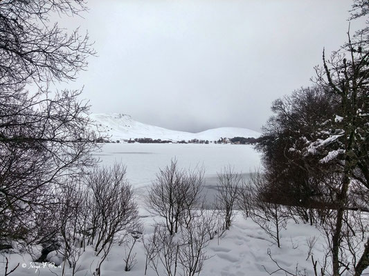 Le lac du Guéry - Massif du Sancy - Auvergne - France
