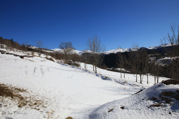 L'Usclade - Petit hameau de Murat le Quaire - Massif du Sancy - Auvergne - France