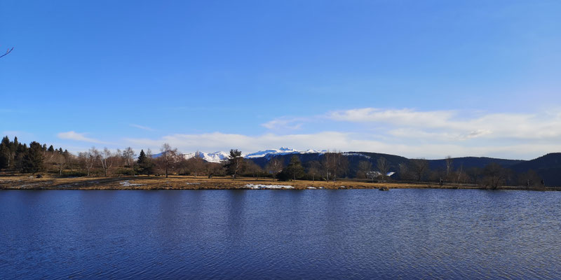 Plan d'eau du pré Cohadon - Murat-le-Quaire - Massif du Sancy - Auvergne - France
