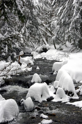 En allant vers la cascade du Rossignolet - Le Mont Dore - Auvergne - France