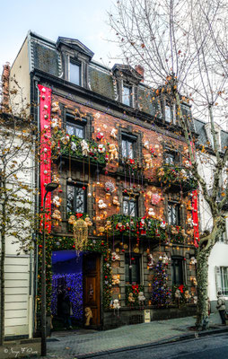 les traditionnelles illuminations de Noël de La Palmeraie, au 19 avenue de Royat à Chamalières - Puy-de-Dôme - Pour illuminer vos yeux et réchauffer les cœurs en cette fin d'année.