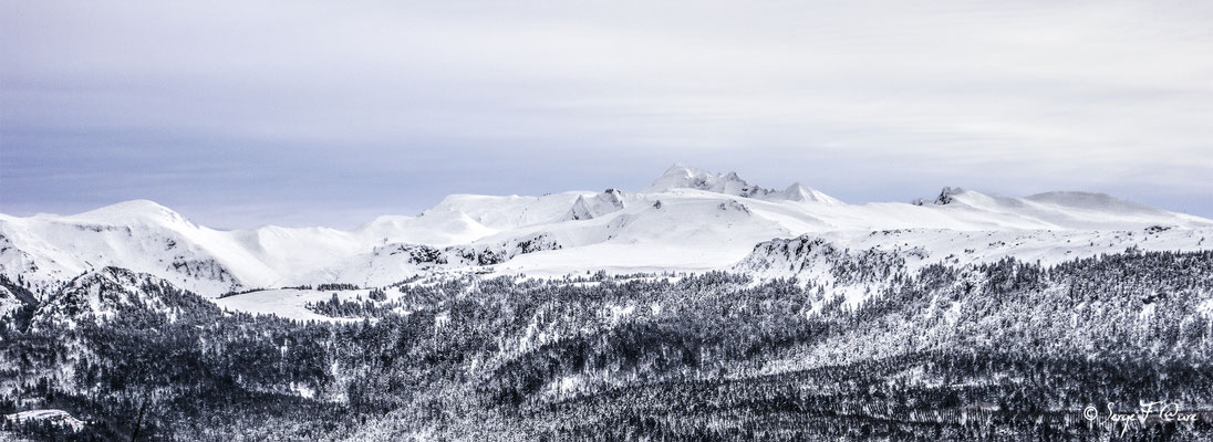 Vue sur le Sancy sous la neige - Murat le Quaire - Massif du Sancy - Auvergne - France
